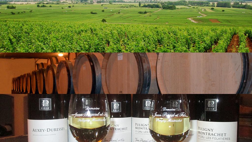 Domaine Jean Pascal et Fils | Fine Wines International